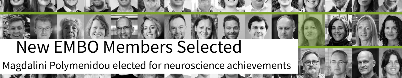 25_07_MP_EMBO_ind_white_2